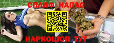 индика Пугачёв